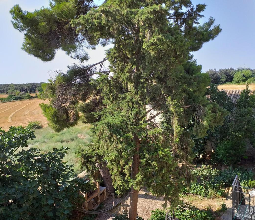 Casa Rural Boletas Лопорсано Экстерьер фото